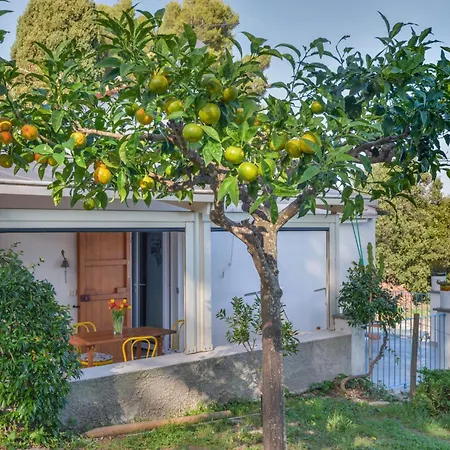 Holiday home Casina Solu By Interhome Rio Marina